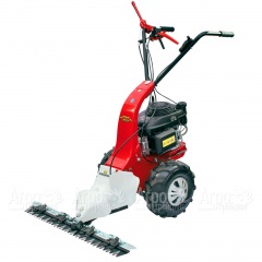 Бензиновая сенокосилка Eurosystems Minieffe 502 RM B&#38;S 625EXi в Архангельске
