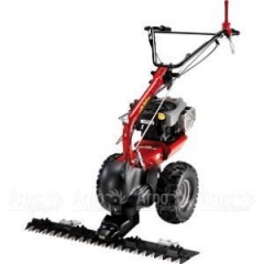 Бензиновая сенокосилка Eurosystems P-70 EVO B&#38;S 850E Series в Архангельске