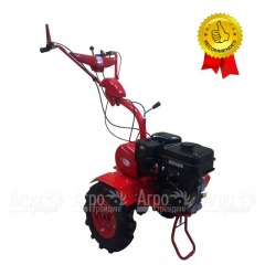 Мотоблок Салют-100 с двигателем Briggs&Stratton Vanguard 6.5 л.с. (Салют 100-БС-В) в Архангельске
