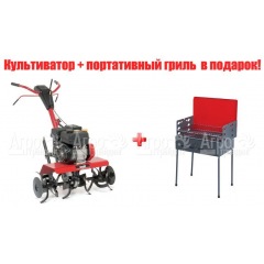 Культиватор MTD T 380 M 21D-38MT678-G в Архангельске