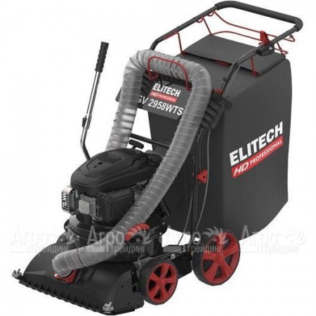 Пылесос садовый бензиновый Elitech HD GV 2958WTS (E1608.008.00) в Архангельске