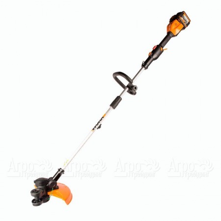 Триммер аккумуляторный Worx WG184E.9 (без аккумулятора и ЗУ) в Архангельске