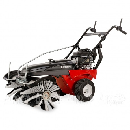 Подметальная машина Tielburger TK36 Professional в Архангельске