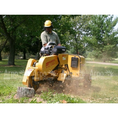 Измельчитель пней Rayco Super RG 50 в Архангельске