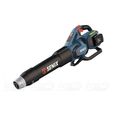 Воздуходувка аккумуляторная Senix BLAX2-M2-EU в Архангельске