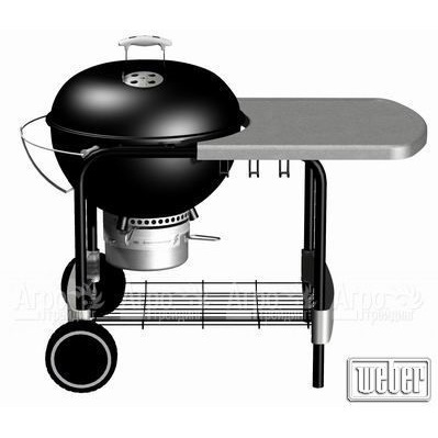Гриль барбекю One-Touch® Platinum Black в Архангельске