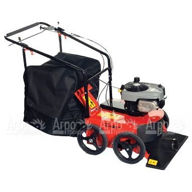 Садовый пылесос Echo Bear Cat WV190 в Архангельске