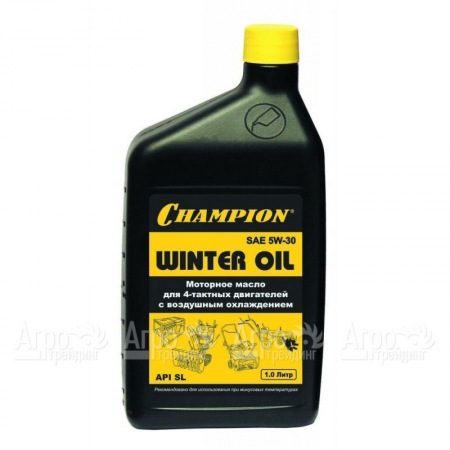 Масло минеральное Champion SAE 5W30 1 л для 4-х тактных двигателей в Архангельске