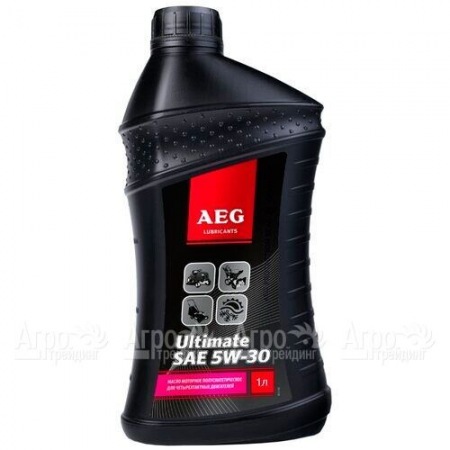 Масло полусинтетическое AEG Ultimate SAE 5W30 1 л для 4-х тактных двигателей  в Архангельске
