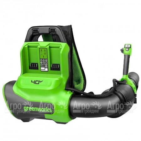 Воздуходувка аккумуляторная GreenWorks GD40BPG2  в Архангельске