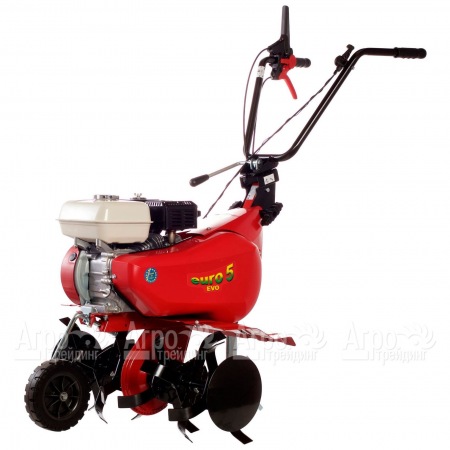 Культиватор Eurosystems Euro-5 EVO RM S/R Honda GX160 в Архангельске