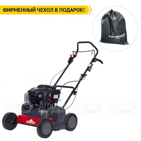 Скарификатор Eurosystems SC42B c двигателем Briggs&#38;Stratton 450 series в Архангельске