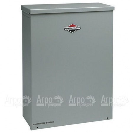 Блок автоматики Briggs&#38;Stratton 100A в Архангельске