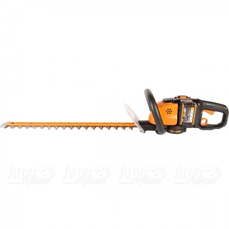 Кусторез аккумуляторный Worx WG284E.1 в Архангельске