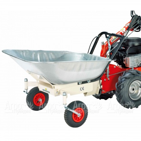 Оцинкованная тачка для Eurosystems P 70 в Архангельске