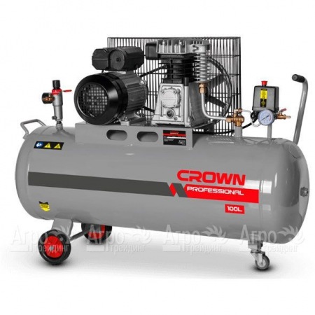 Компрессор воздушный Crown CT36031  в Архангельске