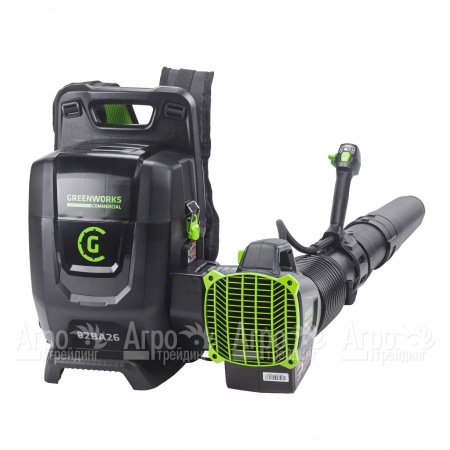 Воздуходувка аккумуляторная GreenWorks 2407207 (без батареи и зарядного устройства)  в Архангельске
