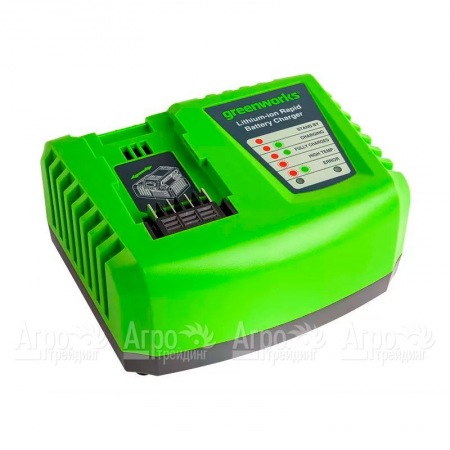 Быстрое зарядное устройство Greenworks G40UC4  в Архангельске