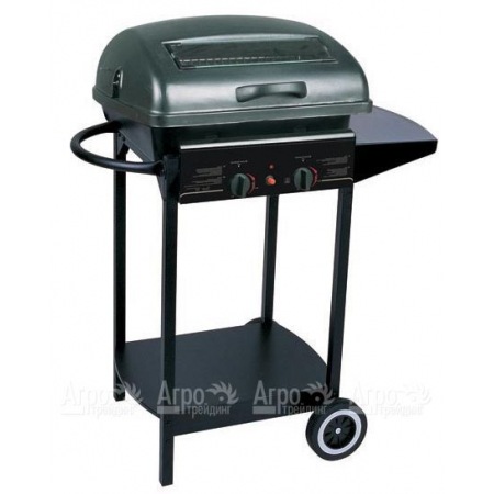 Гриль-барбекю газовый Green Glade RH-2210A в Архангельске