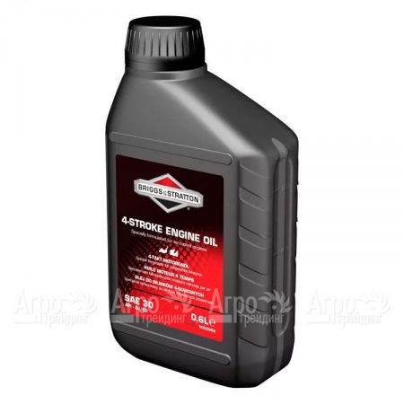Масло Briggs&#38;Stratton SAE-30 0.6 л для 4-х тактных двигателей в Архангельске