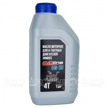 Масло моторное EVOline SAE 5W-30 API SN/CF 1 л для 4-х тактных двигателей в Архангельске