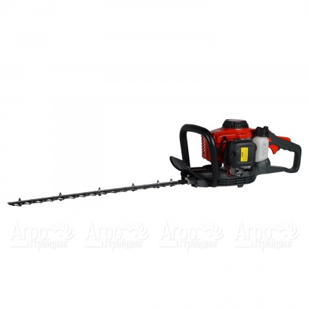 Бензоножницы EVOline HTG 23-60 в Архангельске