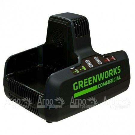 Быстрое зарядное устройство GreenWorks G82C2  в Архангельске