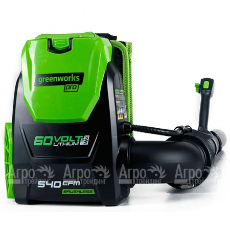 Воздуходувка аккумуляторная GreenWorks GD60BPB (без батареи и зарядного устройства)  в Архангельске