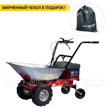 Самоходная тележка Eurosystems Carry Electric 300W-24V в Архангельске