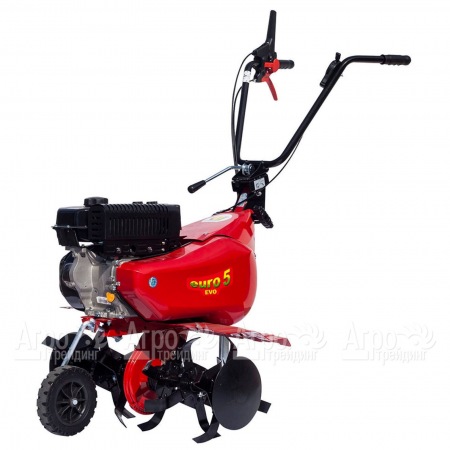 Культиватор Eurosystems Euro-5 EVO RM S/R Loncin TM60 в Архангельске