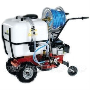 Бензиновый опрыскиватель Eurosystems Carry Sprayer в Архангельске
