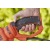 Электрический кусторез (электрокусторез) Black+Decker BEHTS551 в Архангельске