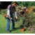 Бензокоса (бензиновый триммер) Stihl FS 55 C в Архангельске