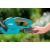 Аккумуляторный кусторез Gardena EasyCut 42 Accu в Архангельске