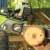 Аккумуляторная пила GreenWorks G-Max GD40CS40 40V-16 (без аккумулятора и зарядного устройства) в Архангельске