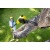 Высоторез аккумуляторный Karcher PSW 18-20 (без аккумулятора и зарядного устройства) в Архангельске