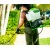Аккумуляторный опрыскиватель GreenWorks GW-BPS60 (без аккумулятора и зарядного устройства) в Архангельске