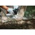 Бензопила Stihl MS 194 T 12" в Архангельске