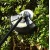 Аккумуляторный триммер DEKO DKTR40V PRO в Архангельске