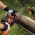 Аккумуляторная пила Black+Decker GKC1825LB-10" (без аккумулятора и зарядного устройства) в Архангельске