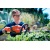 Аккумуляторные ножницы Husqvarna 115iHD45 в Архангельске