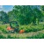 Садовый райдер Husqvarna P525DX с кабиной в Архангельске