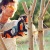 Аккумуляторная пила Stihl MSA 120 C-BQ-12 в Архангельске
