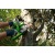 Аккумуляторная пила GreenWorks G40CS30K2-12" в Архангельске