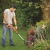 Аккумуляторный триммер Black+Decker ST1823 (2 аккумулятора) в Архангельске