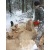 Бензопила Stihl MS 230 CB-E-16 в Архангельске