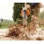 Воздуходувка бензиновая Stihl BG 56 в Архангельске