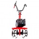 Культиватор Eurosystems Euro-3 EVO RM B&amp;S 450E Series в Архангельске