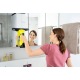 Стеклоочиститель Karcher WV 5 Premium в Архангельске
