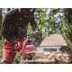 Бензопила Shindaiwa 501SX в Архангельске